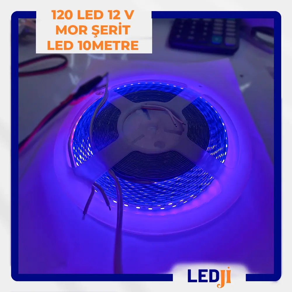 LEDJİ 12V mor şerit led 120 led metre 10 metre rulo